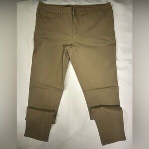 Massimo Women's Jeggings in Olive/Tan
